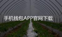 手机钱包APP官网下载：便捷支付与生活助手的完美结合