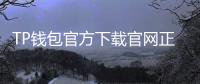 TP钱包官方下载官网正版：安全下载与高效体验的全流程解析